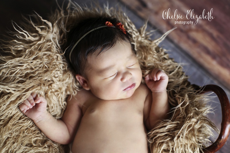 Twin_Cities_Newborn_Photographer_By_Wedding_Photographer_Chelsie_Elizabeth_Photography